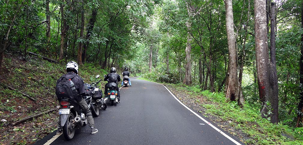 Image result for Vazhachal Forest bike route images